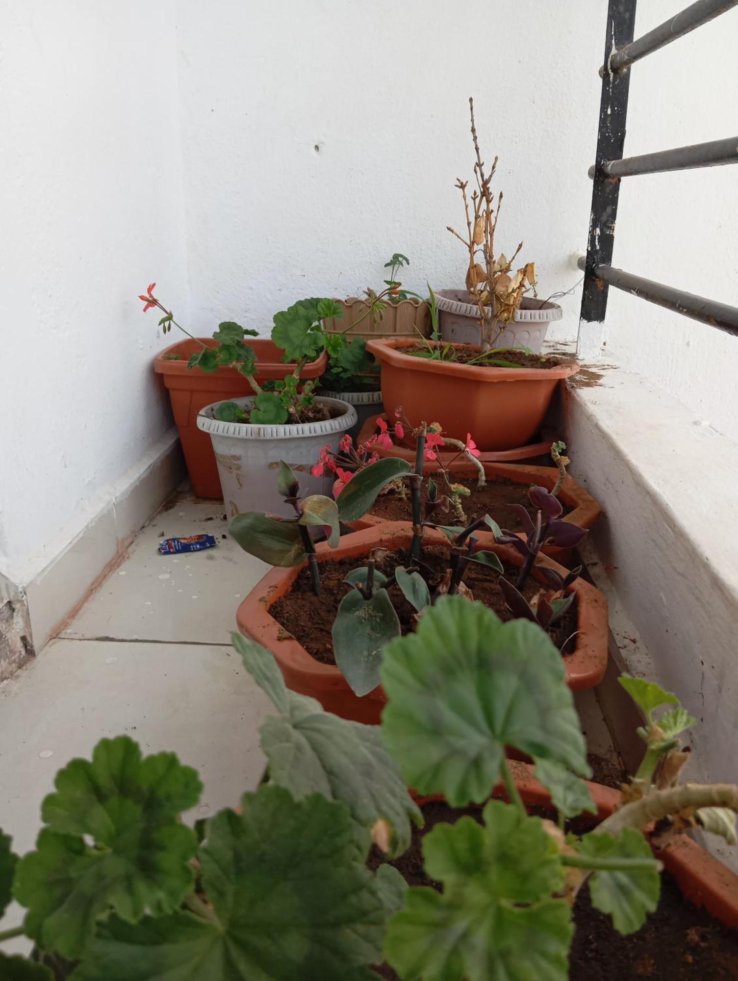Appartement قريبة من المطار Tanger